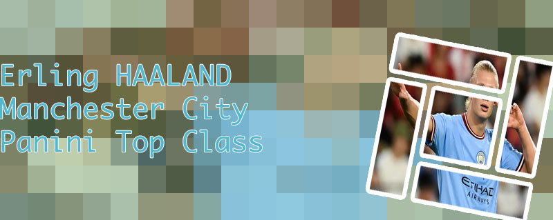 Man city erling haaland